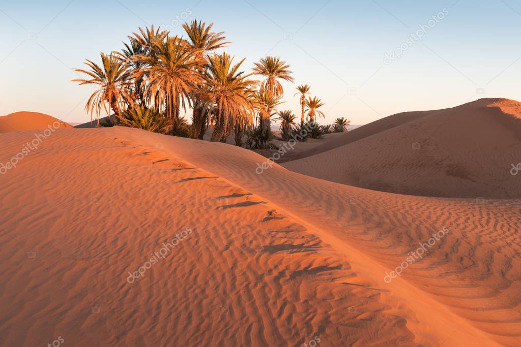 Desert landscape sand dunes at sunset sky near Merzouga, Morocco, Africa. Discovery and adventure travel concept. Sunlight over the desert dunes.