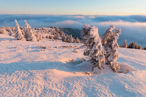 Avec Ses 492 Pieds Haut Mont Jefferson Est Deuxième Haute — Photo