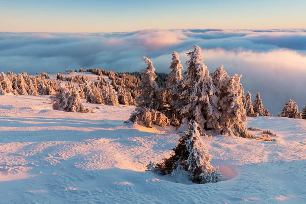 492 Feet High Jefferson Oregon Second Tallest Mountain Mount Jefferson — ストック写真