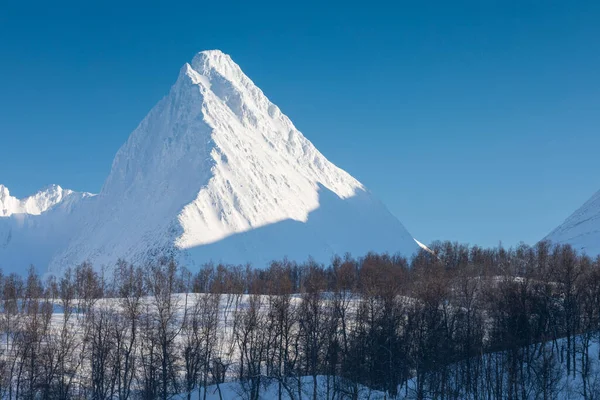 Panorama Snöiga Fjordar Och Bergskedja Senja Norge Fantastisk Norge Natur — Stockfoto