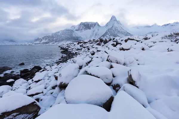 Panorama Snöiga Fjordar Och Bergskedja Senja Norge Fantastisk Norge Natur — Stockfoto