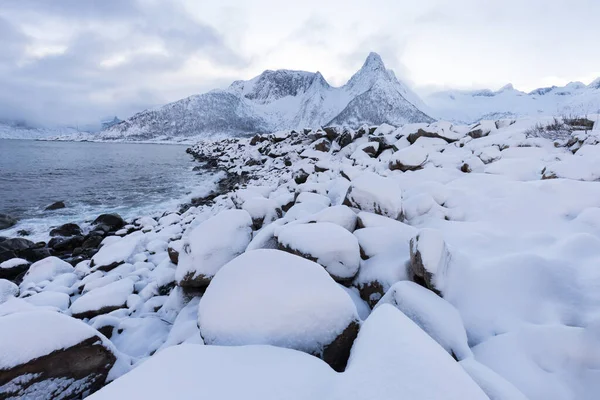 多雪的峡湾和山脉的全景 挪威森加奇观挪威自然海景受欢迎的旅游胜地 最有名的旅游胜地 美丽的落日在令人赞叹的冬季风景中 — 图库照片