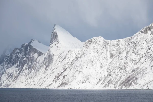 Panorama Fiordos Nevados Cordillera Senja Noruega Increíble Paisaje Marino Natural — Foto de Stock