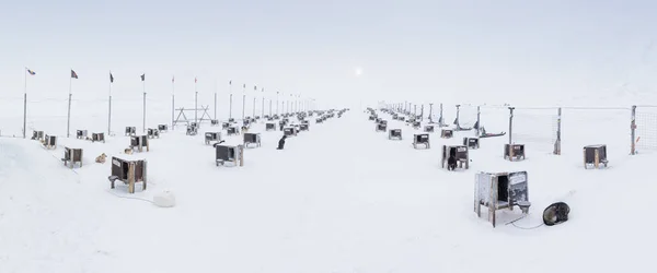 Arktyczne Psy Sanie Zimą Burza Śnieżna Longyearbyen Spitsbergen Svalbard Norwegia — Zdjęcie stockowe