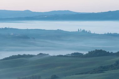 Tuscany 'nin yeşil bahar manzarasının güzel renkleri. İtalya 'nın en popüler yeri. Yeşil tarlalar, mavi gökyüzü ve Siena yakınlarındaki Cypress ağaçları manzaralı yol. Güneşli, sisli bir sabah
