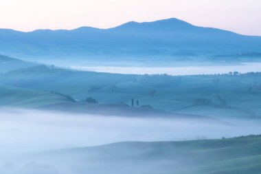 Tuscany 'nin yeşil bahar manzarasının güzel renkleri. İtalya 'nın en popüler yeri. Yeşil tarlalar, mavi gökyüzü ve Siena yakınlarındaki Cypress ağaçları manzaralı yol. Güneşli, sisli bir sabah