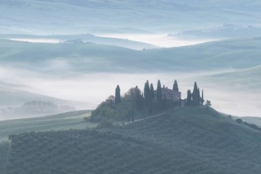 Tuscany 'nin yeşil bahar manzarasının güzel renkleri. İtalya 'nın en popüler yeri. Yeşil tarlalar, mavi gökyüzü ve Siena yakınlarındaki Cypress ağaçları manzaralı yol. Güneşli, sisli bir sabah