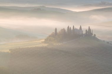 Tuscany 'nin yeşil bahar manzarasının güzel renkleri. İtalya 'nın en popüler yeri. Yeşil tarlalar, mavi gökyüzü ve Siena yakınlarındaki Cypress ağaçları manzaralı yol. Güneşli, sisli bir sabah
