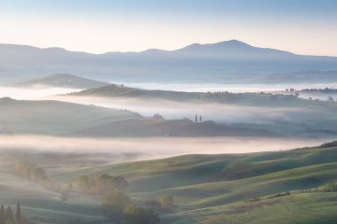 Tuscany 'nin yeşil bahar manzarasının güzel renkleri. İtalya 'nın en popüler yeri. Yeşil tarlalar, mavi gökyüzü ve Siena yakınlarındaki Cypress ağaçları manzaralı yol. Güneşli, sisli bir sabah