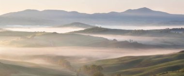Tuscany 'nin yeşil bahar manzarasının güzel renkleri. İtalya 'nın en popüler yeri. Yeşil tarlalar, mavi gökyüzü ve Siena yakınlarındaki Cypress ağaçları manzaralı yol. Güneşli, sisli bir sabah