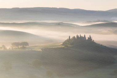 Tuscany 'nin yeşil bahar manzarasının güzel renkleri. İtalya 'nın en popüler yeri. Yeşil tarlalar, mavi gökyüzü ve Siena yakınlarındaki Cypress ağaçları manzaralı yol. Güneşli, sisli bir sabah