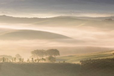 Tuscany 'nin yeşil bahar manzarasının güzel renkleri. İtalya 'nın en popüler yeri. Yeşil tarlalar, mavi gökyüzü ve Siena yakınlarındaki Cypress ağaçları manzaralı yol. Güneşli, sisli bir sabah