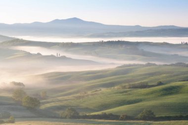 Tuscany 'nin yeşil bahar manzarasının güzel renkleri. İtalya 'nın en popüler yeri. Yeşil tarlalar, mavi gökyüzü ve Siena yakınlarındaki Cypress ağaçları manzaralı yol. Güneşli, sisli bir sabah