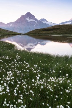 Bachalp Gölü / Bachalpsee, İsviçre 'nin muhteşem sabah manzarası. İsviçre Alpleri, Grindelwald, Bernese Oberland, Avrupa 'da resimli sonbahar günbatımı. Doğa konseptinin güzelliği. Popüler yer