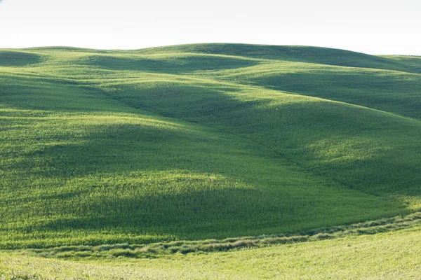 Krásné Barvy Zelené Jarní Panorama Krajiny Toskánska Nejoblíbenější Místo Itálii — Stock fotografie