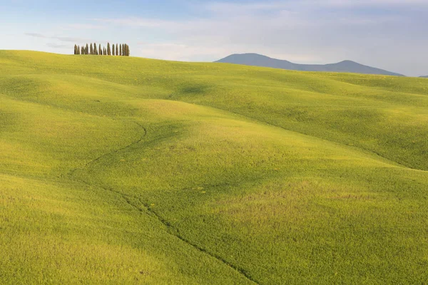 Cores Bonitas Paisagem Panorama Primavera Verde Toscana Lugar Mais Popular — Fotografia de Stock