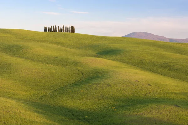 Cores Bonitas Paisagem Panorama Primavera Verde Toscana Lugar Mais Popular — Fotografia de Stock