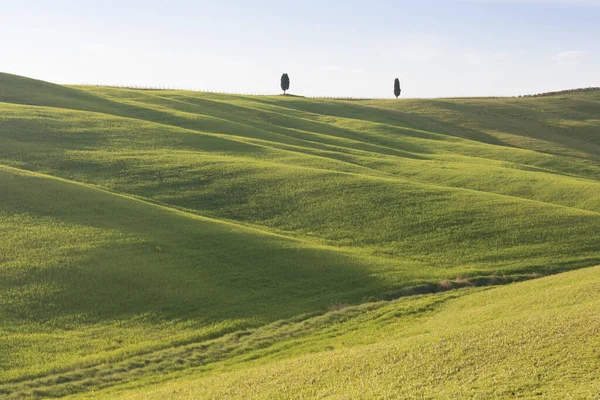 Cores Bonitas Paisagem Panorama Primavera Verde Toscana Lugar Mais Popular — Fotografia de Stock