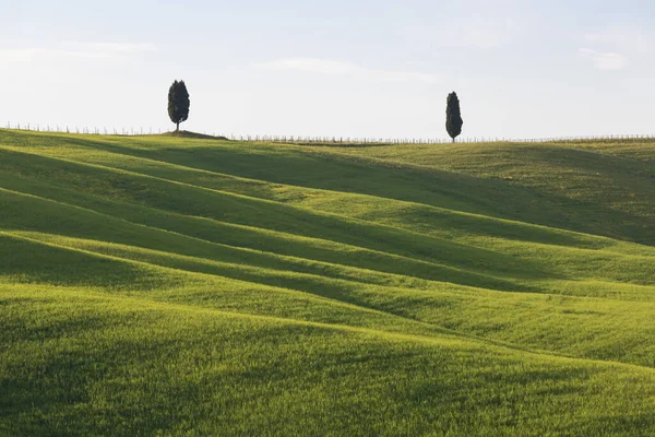Cores Bonitas Paisagem Panorama Primavera Verde Toscana Lugar Mais Popular — Fotografia de Stock