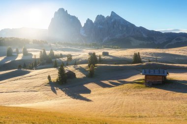 Aerial summer sunrise scenery with yellow larches and small alpine building and Langkofel mountain group on background. Alpe di Siusi (Seiser Alm), Dolomite Alps, Italy. Famous best alpine place clipart