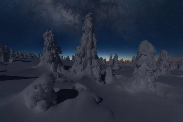 Céu Noturno Monte Rainier Láctea Uma Bela Noite Verão Perto — Fotografia de Stock