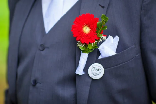 Handsome Groom Suit Boutonniere — Stock Photo, Image