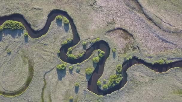 Воздушный Пейзаж Дикая Река Летом — стоковое видео