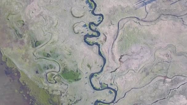 Hava Manzarası Yazın Vahşi Nehir — Stok video