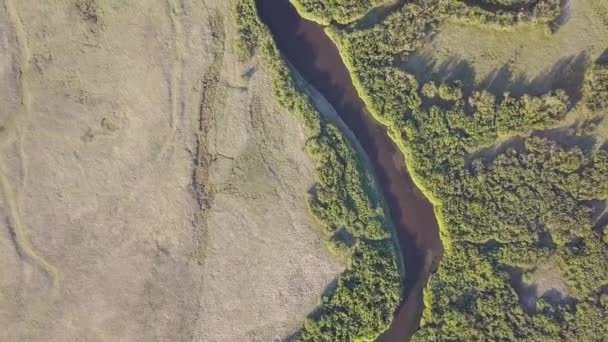 Повітряний Пейзаж Дика Річка Влітку — стокове відео