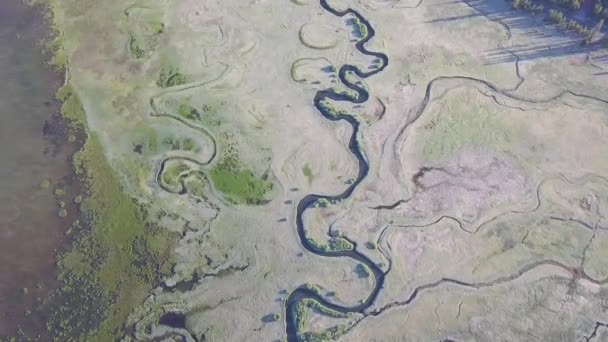 空中景观 夏天的野生河流 — 图库视频影像