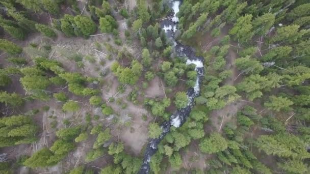 空中景观 夏天的野生河流 — 图库视频影像