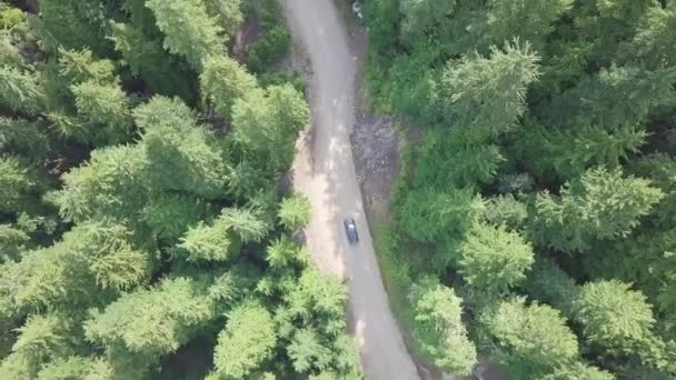 Bela Paisagem Paisagem Com Árvores Estrada — Vídeo de Stock