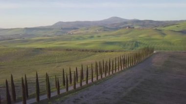 Güzel Cypress sokağı, doğa manzarası