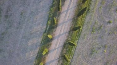 Güzel Cypress sokağı, doğa manzarası
