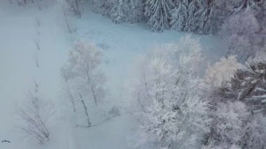 Güzel kış manzarası, muhteşem dağ manzarası. Ormanların manzaralı görüntüsü. Kayak merkezinde dondurucu bir gün.