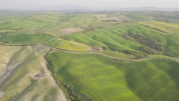 Hermoso Paisaje Con Árboles Carretera — Vídeos de Stock