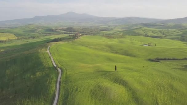 Bela Paisagem Paisagem Com Árvores Estrada — Vídeo de Stock