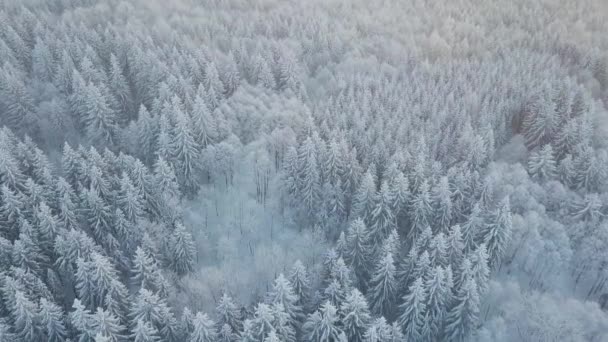 Vacker Vinter Natur Landskap Fantastisk Utsikt Över Bergen Naturskön Bild — Stockvideo