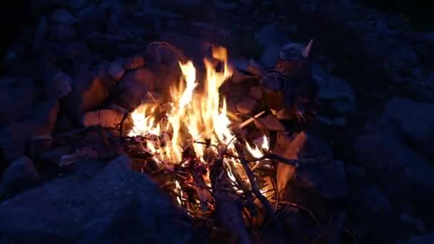 Táborák Jiskrami Lese Noci — Stock video
