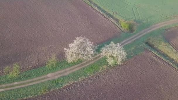 Champs agricoles et route asphaltée Vue aérienne du champ rural à la fin du printemps 
