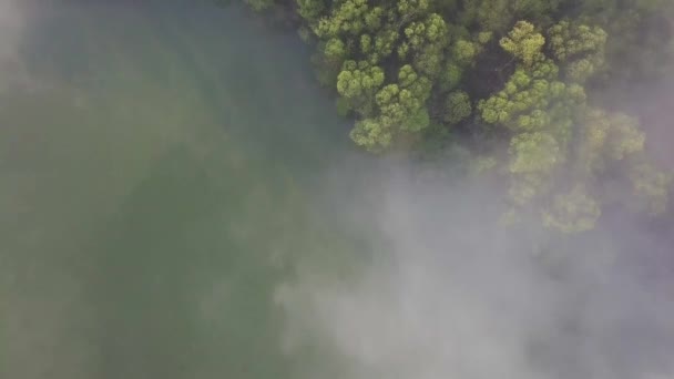 Vue sur belle forêt avec lac et brouillard 