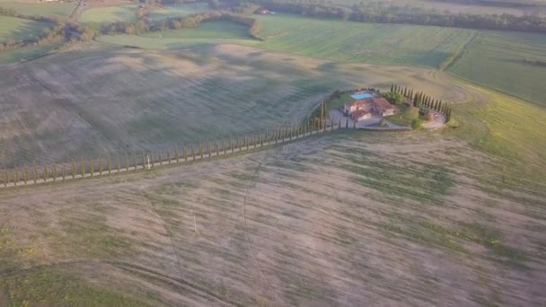 Bela Árvore Cipreste Construção Paisagem Natureza — Vídeo de Stock