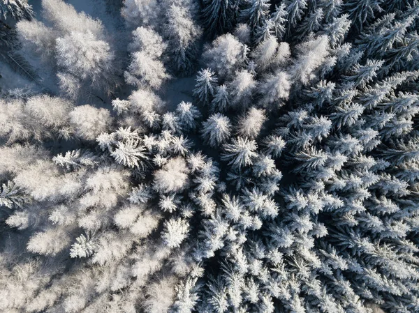 Vista Aérea Del Bosque Invernal Cubierto Nieve Fotografía Drone Imagen — Foto de Stock