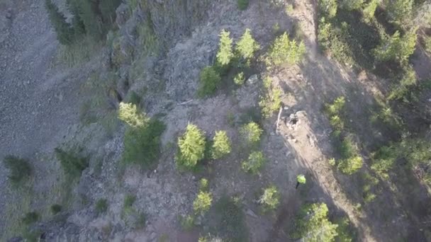 Atleta Correndo Floresta Vista Aérea — Vídeo de Stock