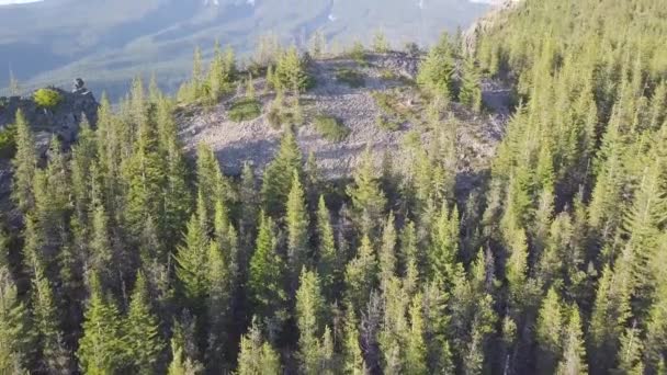 Hermoso Paisaje Con Montaña Bosque — Vídeo de stock