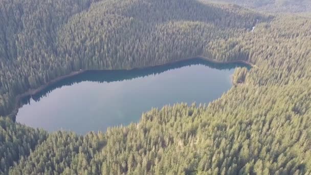 Paisaje Aéreo Lago Salvaje Verano — Vídeos de Stock