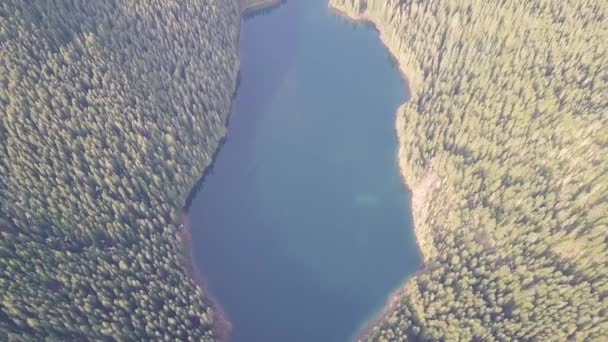 Воздушный Пейзаж Дикое Озеро Летом — стоковое видео