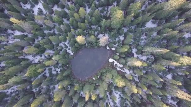 Paisaje Aéreo Lago Salvaje Verano — Vídeo de stock