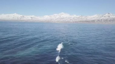 Güzel dağlar ve deniz manzarası