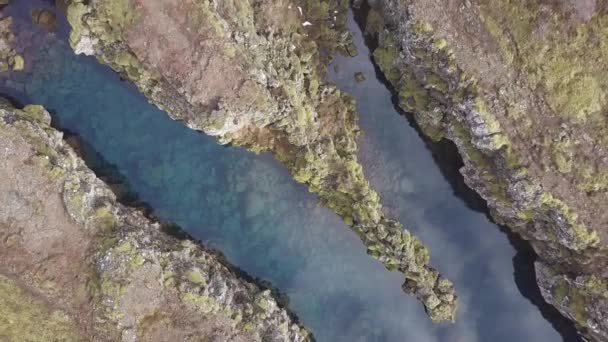 Prachtige Gletsjerrivier Een Canyon Ijsland — Stockvideo